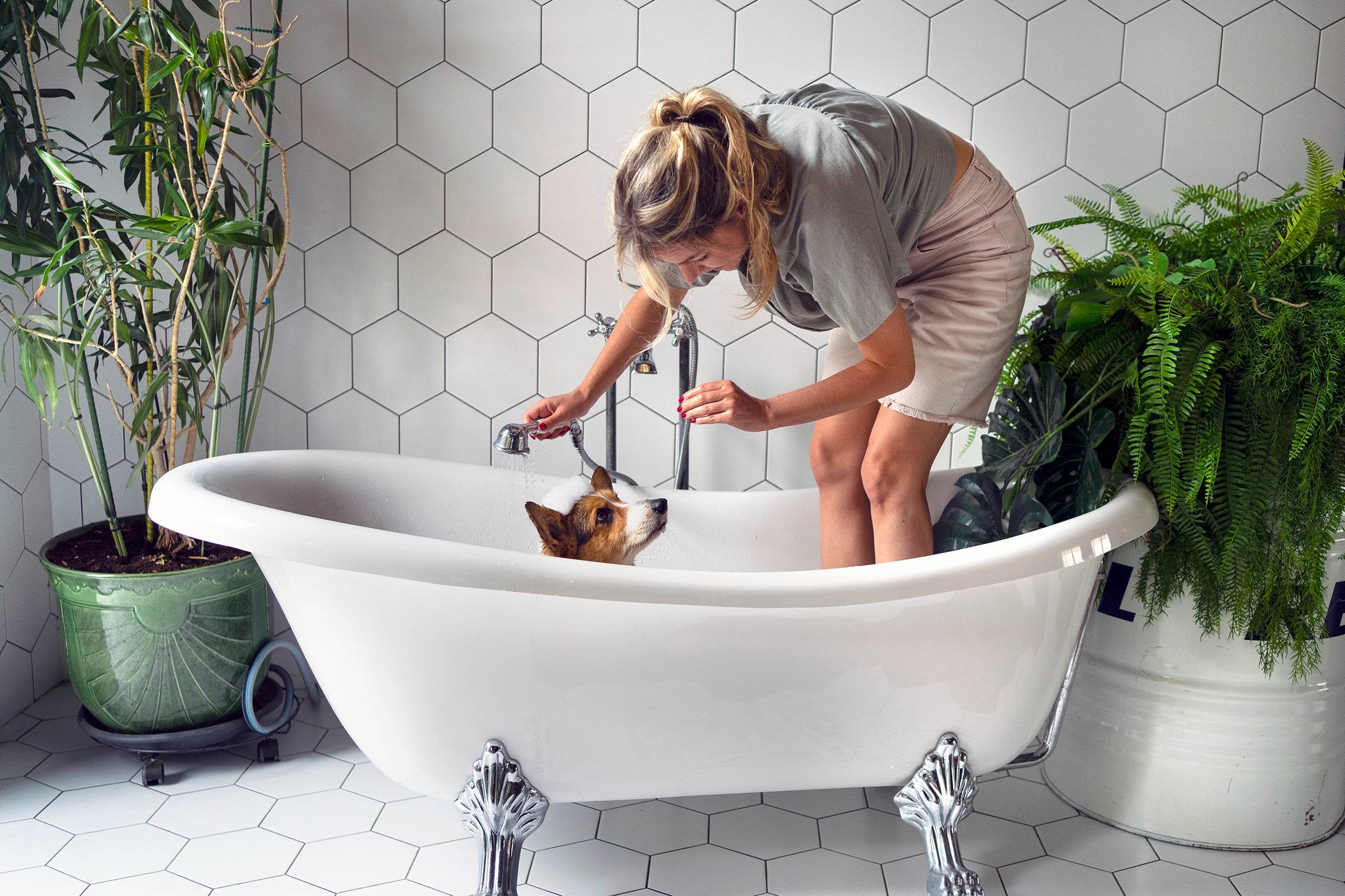 The Ultimate Guide to Pet-Friendly Bathroom Furniture