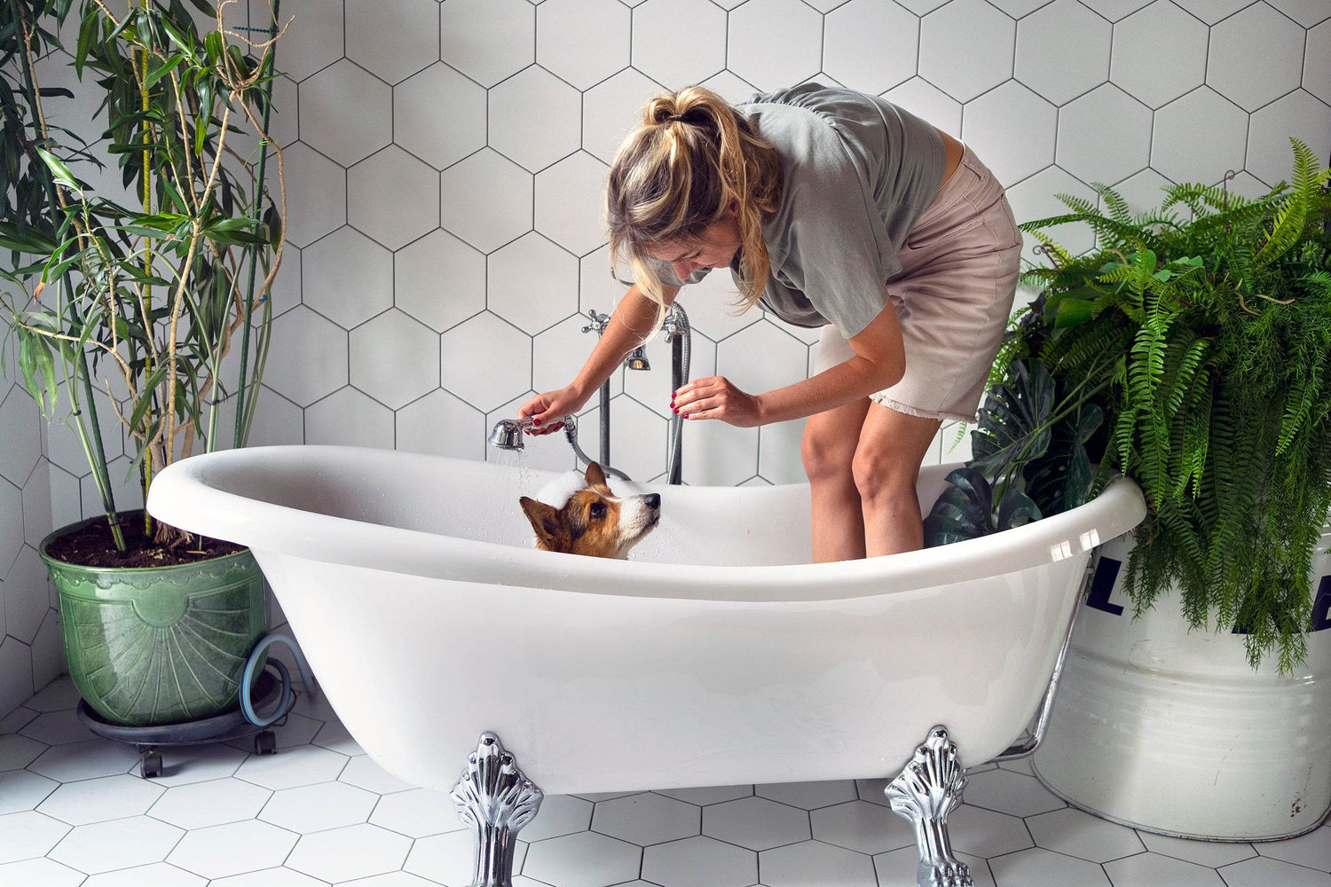 The Ultimate Guide to Pet-Friendly Bathroom Furniture