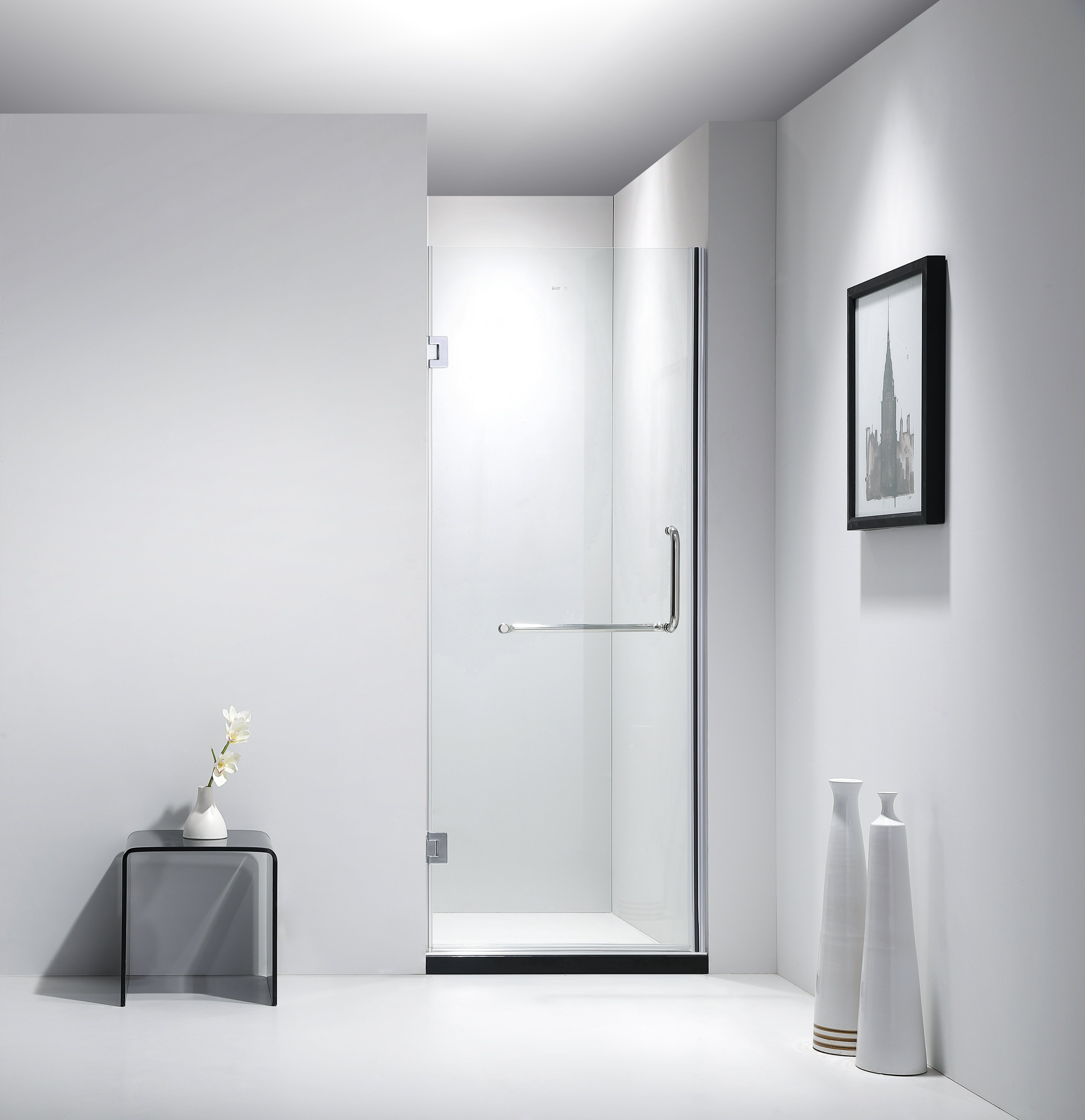 Frameless hinged store shower door