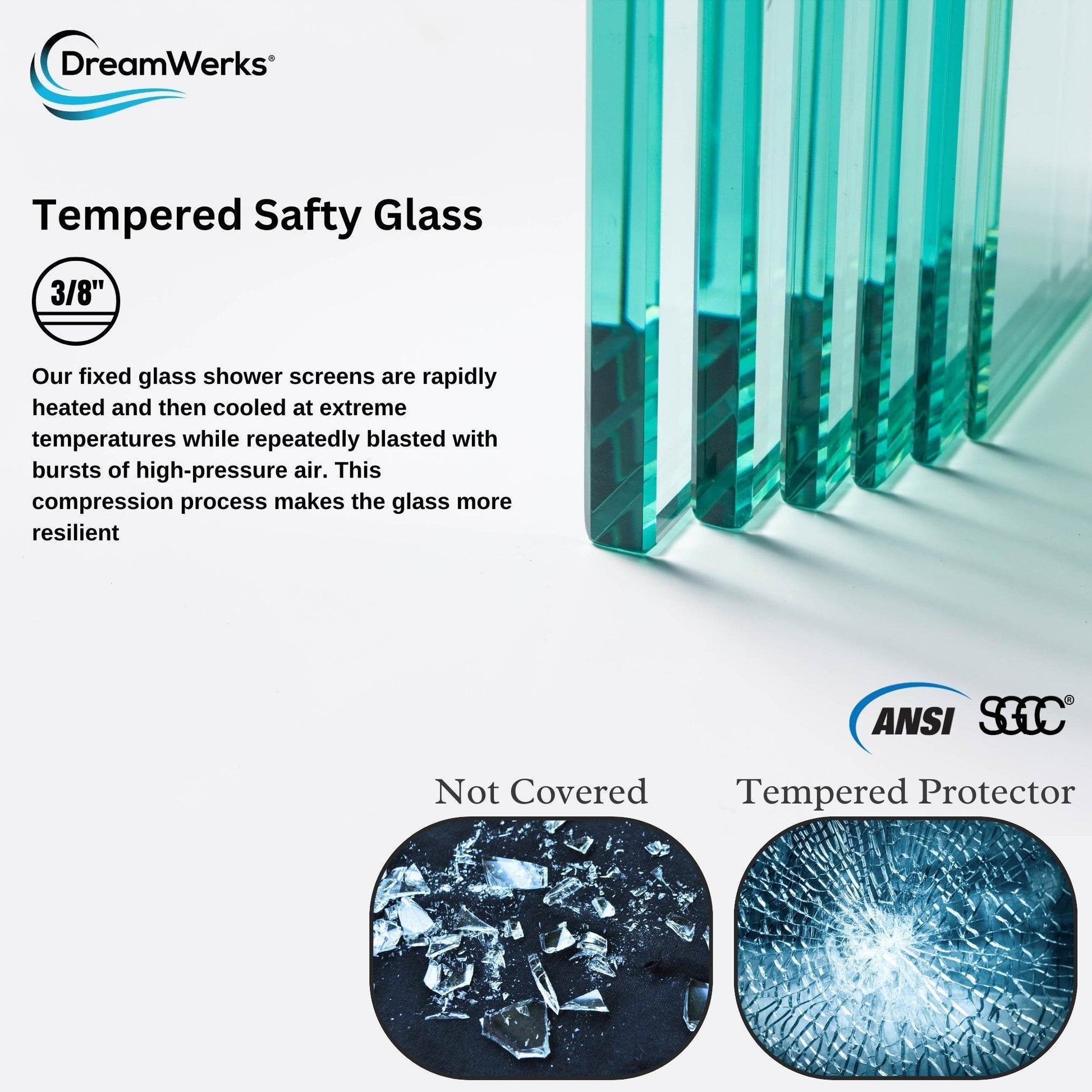 Apollo 60 in. W x 79 in. H Frameless Double Roller Shower Door in Black - Dreamwerks