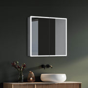 Dani 28"W X 28"H LED Medicine Cabinet with Mirrored Doors - Dreamwerks